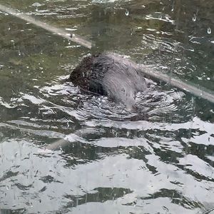 Meet your Posher, Tanya